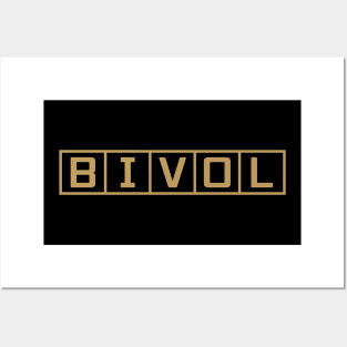 Dmitry Bivol Gold Posters and Art